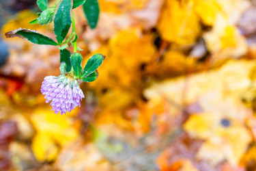 Similar image 22324166