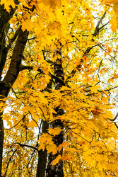 Similar image 22324167