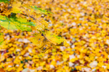 Similar image 22324169