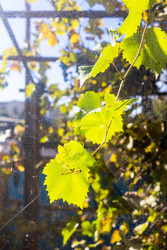 Similar image 22324170