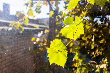 Similar image 22324171