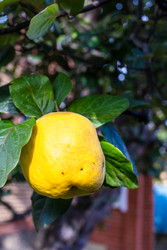 Similar image 22324172