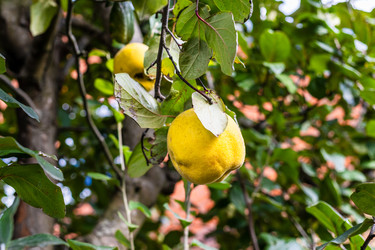 Similar image 22324173