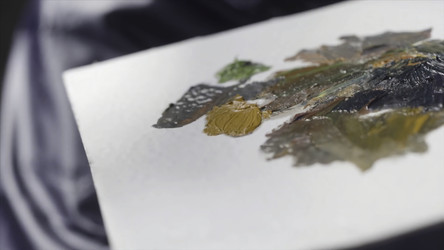 Similar image 22330241