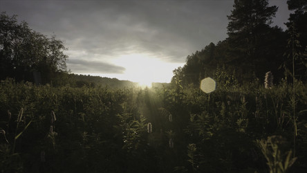 Similar image 22330246