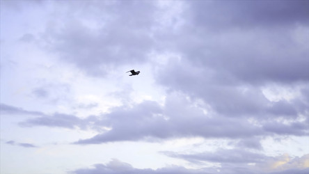 Similar image 22330709