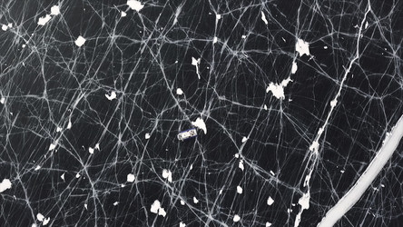 Similar image 22330712