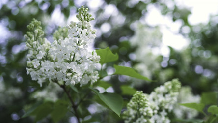 Similar image 22331130