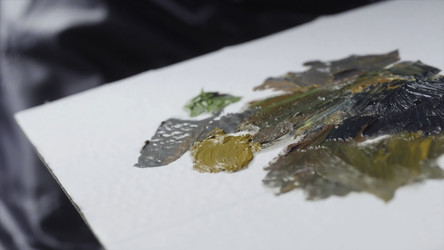 Similar image 22331135