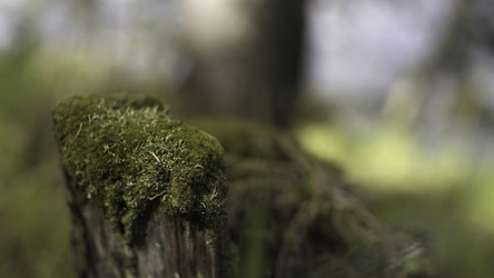 Similar image 22331137