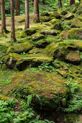 Similar image 22324345