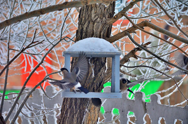 Similar image 22331674