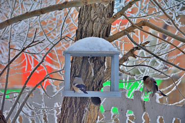 Similar image 22331675