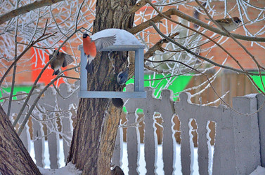 Similar image 22331676