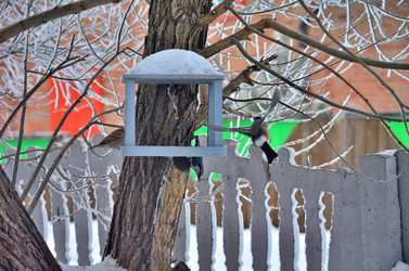 Similar image 22331677