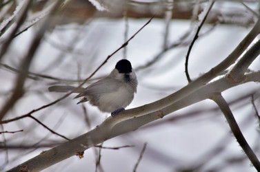 Similar image 22331679