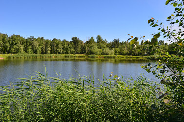 Similar image 22331681