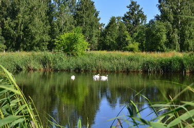 Similar image 22331683