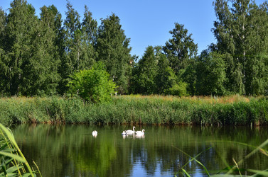 Similar image 22331684