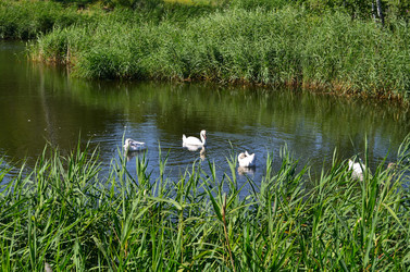 Similar image 22331685