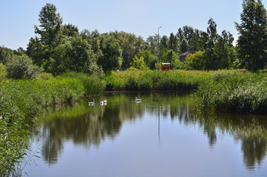 Similar image 22331686