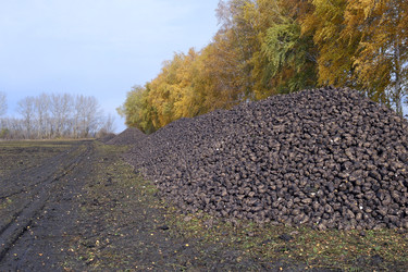 Similar image 22323421