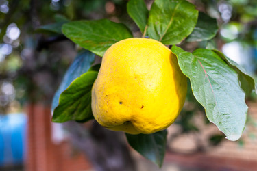 Similar image 22324185