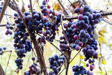 Similar image 22324186