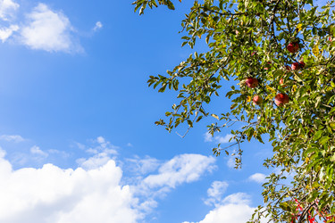 Similar image 22324187