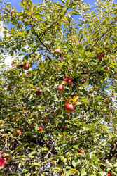 Similar image 22324188