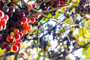 Similar image 22324189