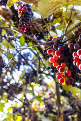 Similar image 22324190