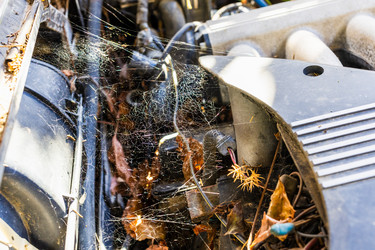 Similar image 22324192