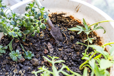 Similar image 22324195