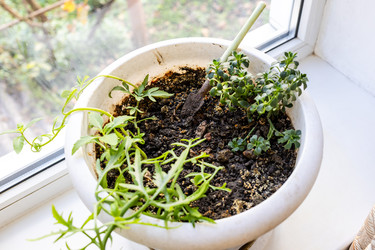 Similar image 22324196