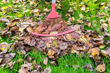 Similar image 22324197