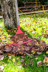 Similar image 22324198