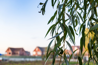 Similar image 22324201