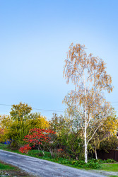 Similar image 22324202