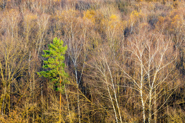 Similar image 22324208