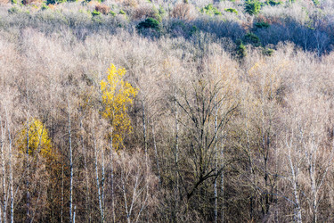 Similar image 22324215