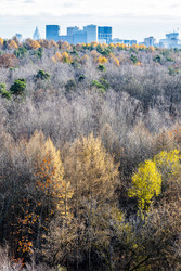 Similar image 22324217