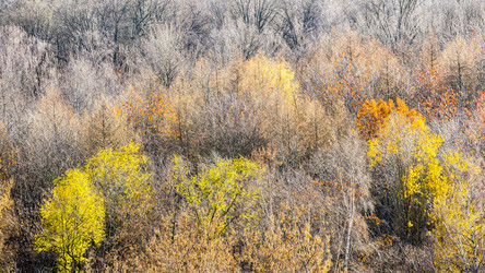 Similar image 22324218