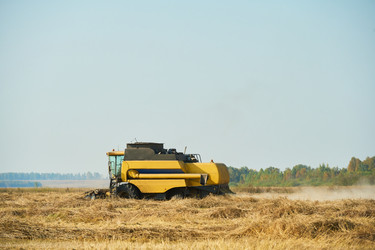 Similar image 22304726