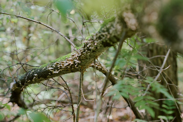 Similar image 22305276