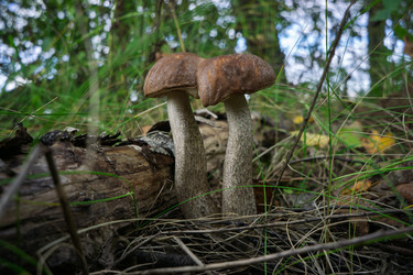 Similar image 22323423