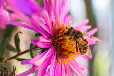 Similar image 22323584