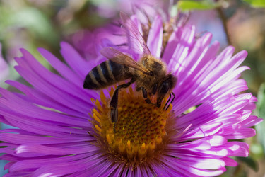 Similar image 22323585