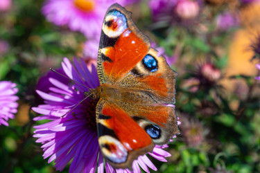 Similar image 22323604