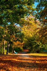 Similar image 22325460